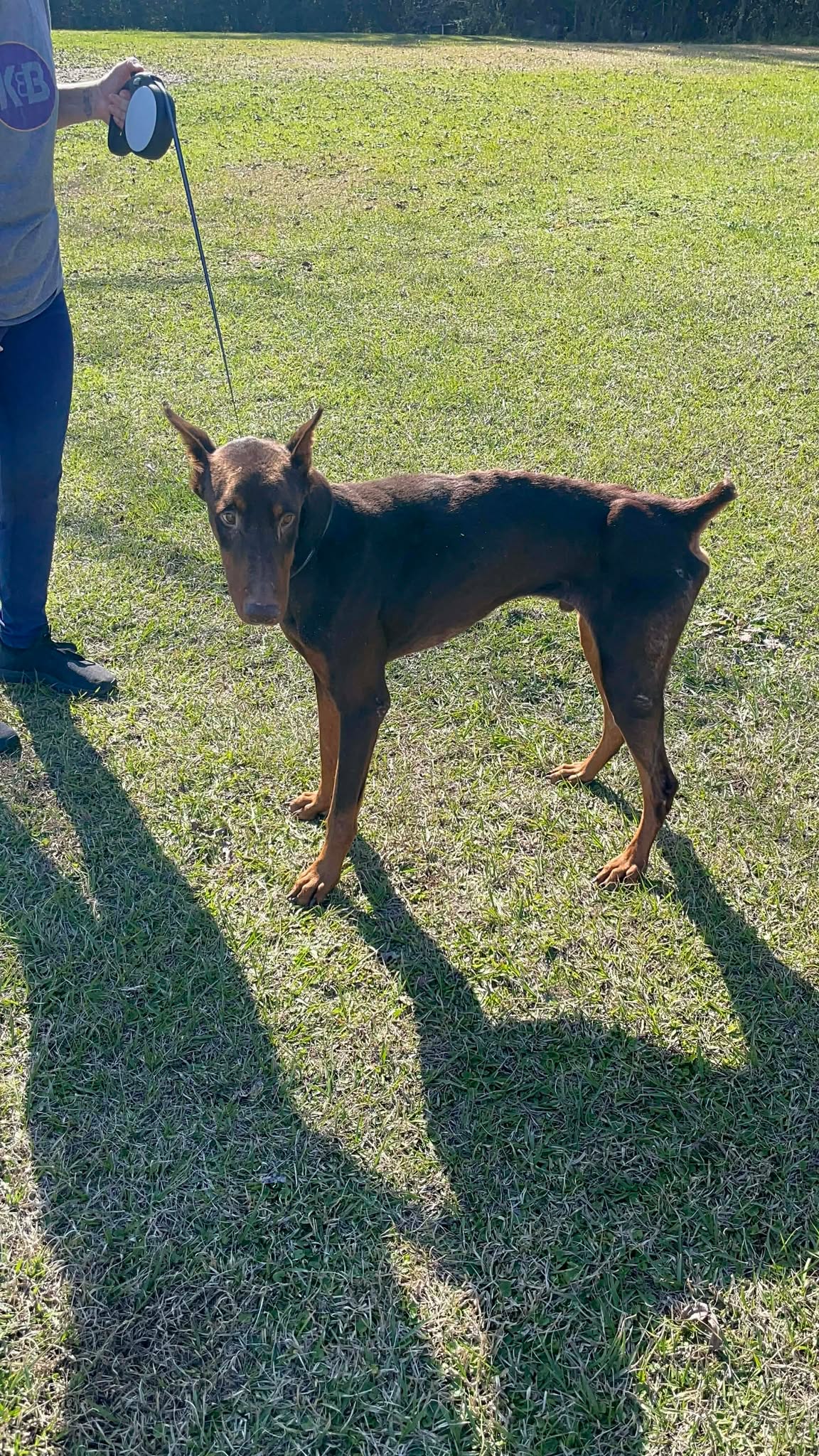 Cain at the sanctuary